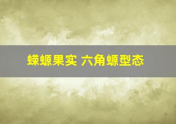 蝾螈果实 六角螈型态